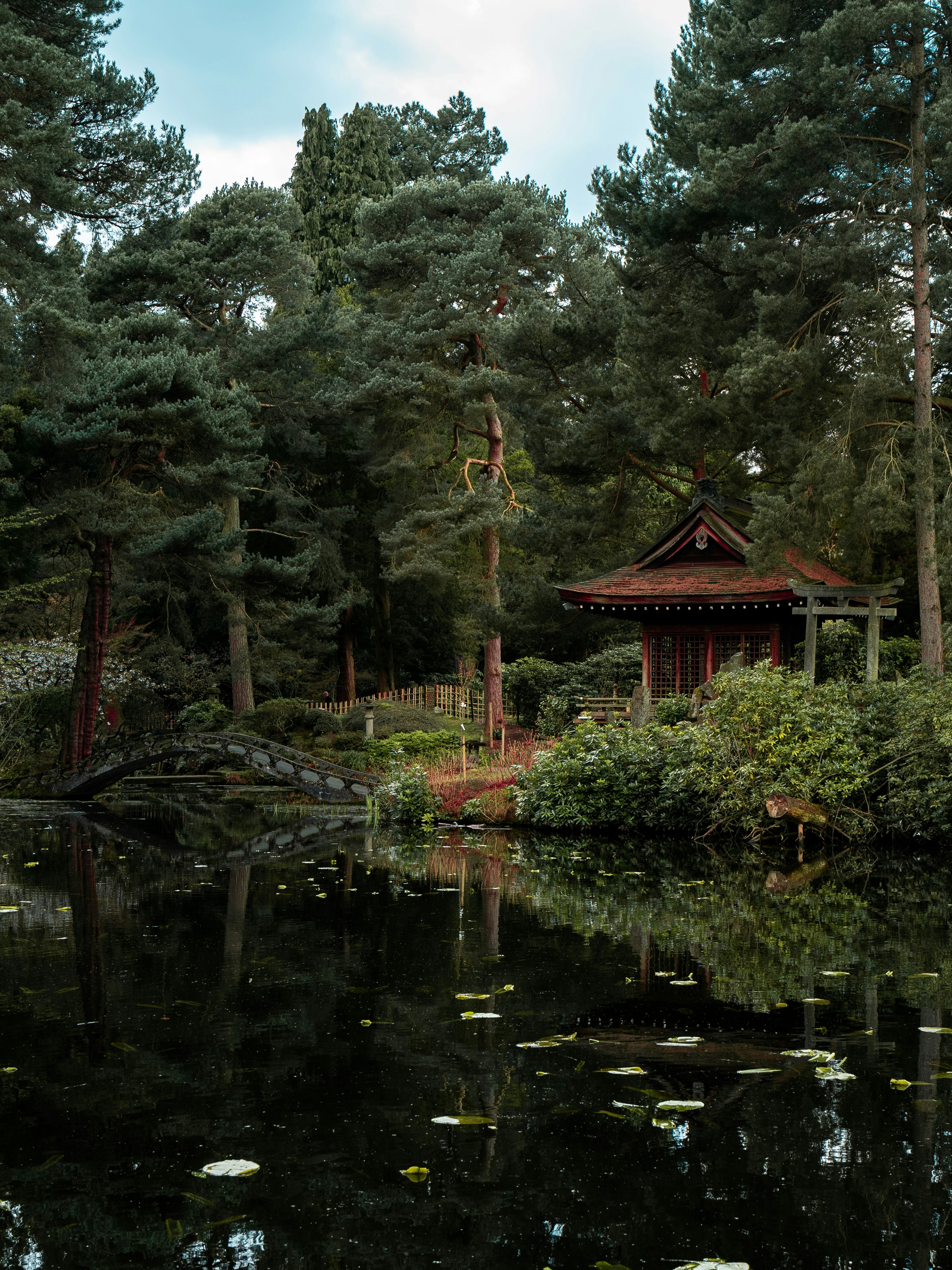 brown wooden house on lake surrounded by trees during daytime